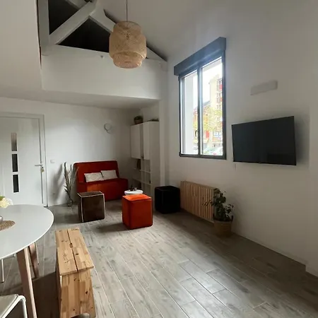 Au-lac Loft Renove En 2024 Дом отдыха Лурд